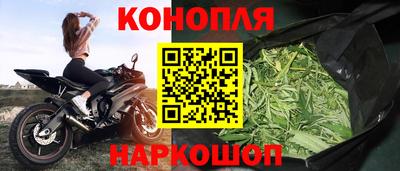соль ск Бийск