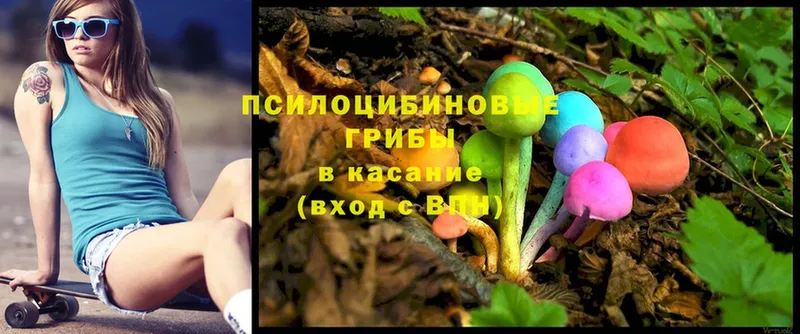 как найти закладки  Сорочинск  kraken как войти  Галлюциногенные грибы Psilocybe 