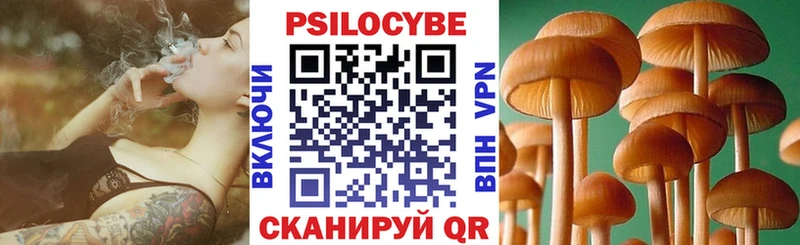 Галлюциногенные грибы Cubensis  закладки  Сорочинск 
