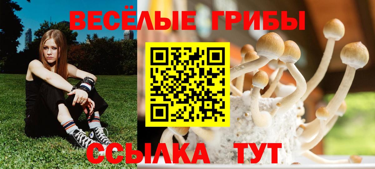 Псилоцибиновые грибы мицелий  Псилоцибиновые грибы Cubensis  Вход с VPN  Сорочинск 