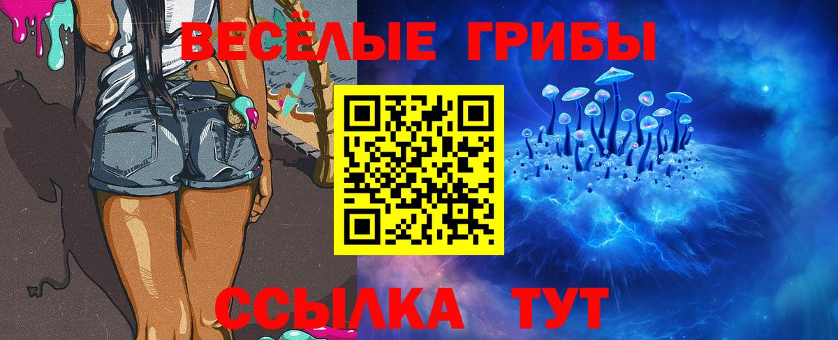 Псилоцибиновые грибы Cubensis Сорочинск