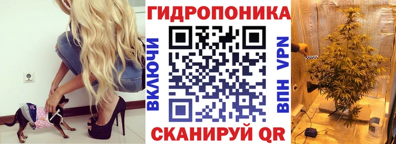 МАРИХУАНА Bruce Banner  блэк спрут сайт  Сорочинск 
